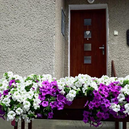 Apartman Martin Zewnętrze zdjęcie